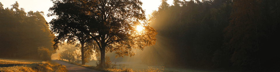 Photovoltaik Förderung Bayern